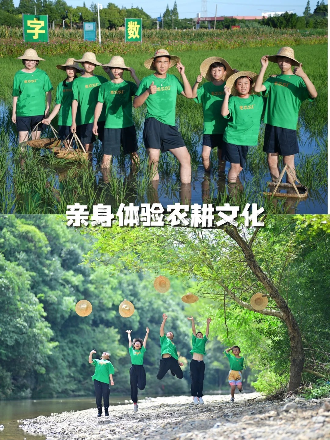 孩子的“变形计”！七天扔掉手机，解锁山野,西点好习惯夏令营