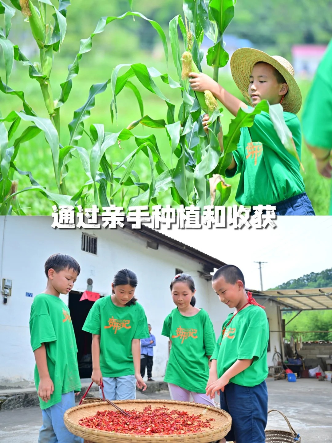 孩子的“变形计”！七天扔掉手机，解锁山野,西点好习惯夏令营